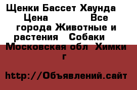 Щенки Бассет Хаунда  › Цена ­ 25 000 - Все города Животные и растения » Собаки   . Московская обл.,Химки г.